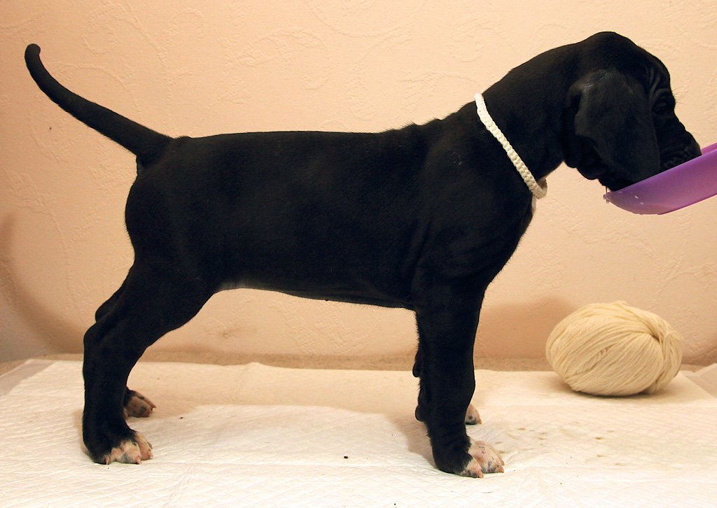 Девочка 5 (белая) female 5 (white)