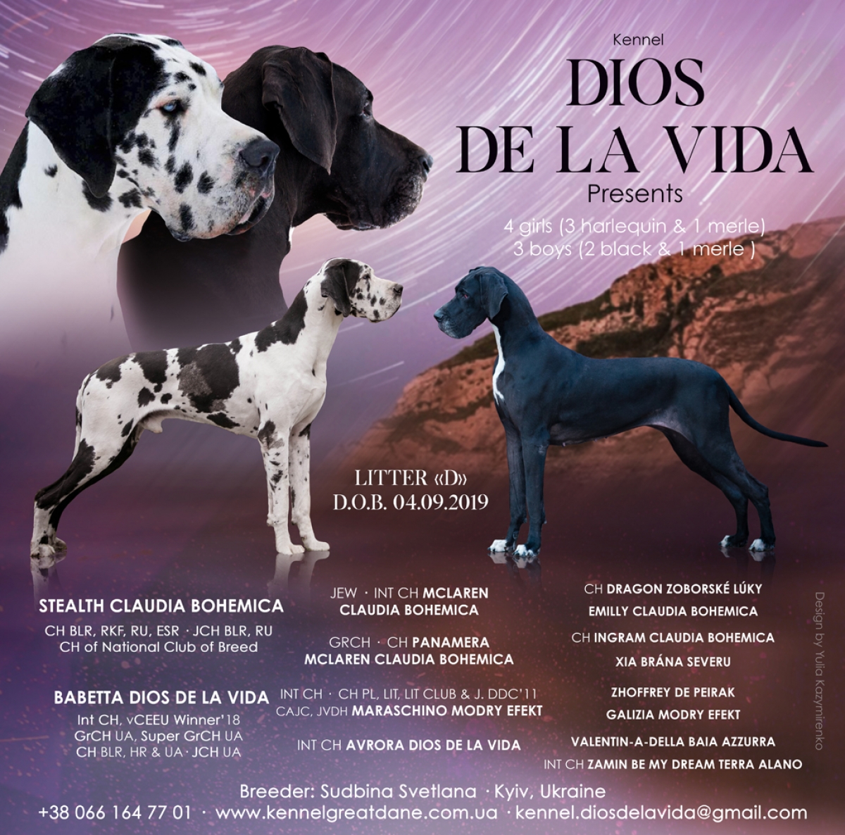 We have puppies! Litter D